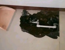 靖江卫生间测漏水多少钱